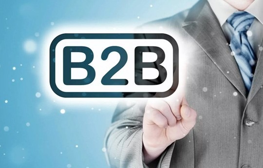 B2B Database